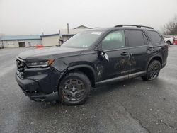 Salvage cars for sale at Grantville, PA auction: 2025 Honda Pilot Trailsport