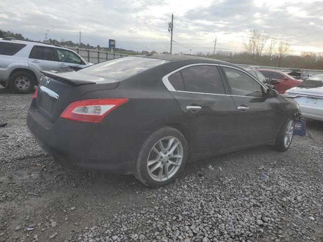 2010 Nissan Maxima S