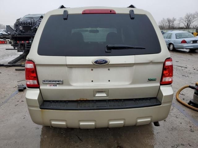 2010 Ford Escape XLT