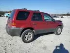 2007 Ford Escape XLT