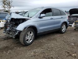 Salvage cars for sale at San Martin, CA auction: 2010 Honda CR-V EXL