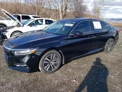 Salvage cars for sale from Copart Marlboro, NY: 2018 Honda Accord Hybrid EXL