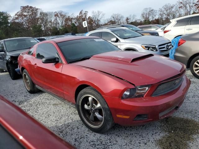 2010 Ford Mustang