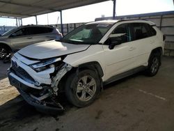 Salvage cars for sale at Anthony, TX auction: 2024 Toyota Rav4 LE