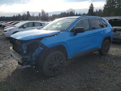 Salvage cars for sale at Graham, WA auction: 2019 Toyota Rav4 LE