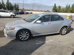 Acura tsx salvage cars for sale: 2006 Acura TSX