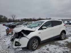 Ford salvage cars for sale: 2013 Ford Escape SEL