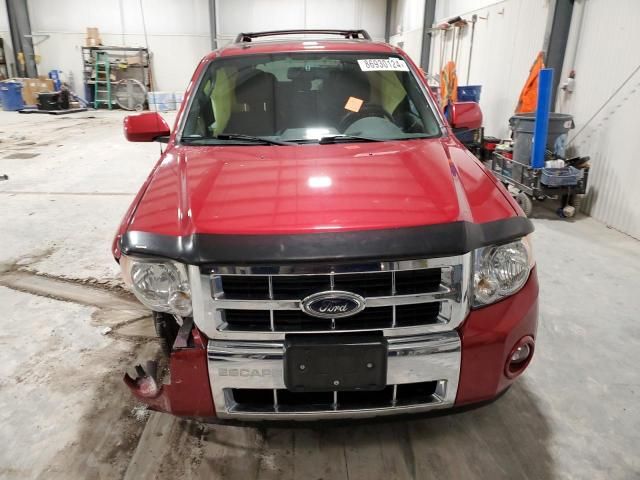 2009 Ford Escape Limited