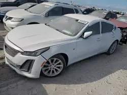 Cadillac ct5 salvage cars for sale: 2020 Cadillac CT5 Luxury