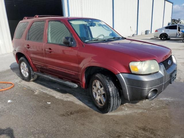 2007 Ford Escape Limited