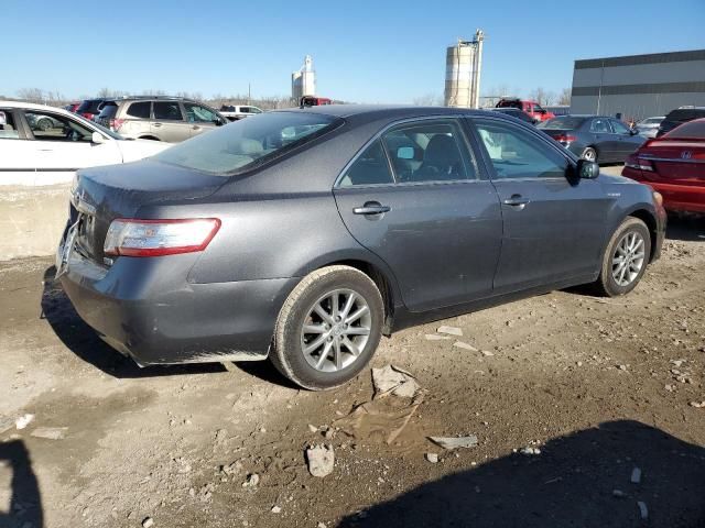 2011 Toyota Camry Hybrid