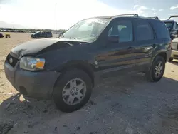 Salvage cars for sale at San Antonio, TX auction: 2005 Ford Escape XLT