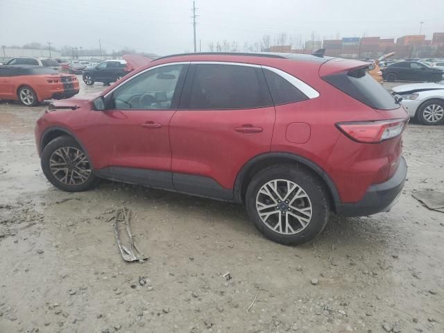 2021 Ford Escape SEL