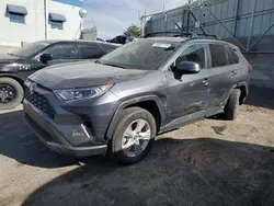 Salvage cars for sale at Albuquerque, NM auction: 2020 Toyota Rav4 XLE