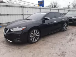 Salvage cars for sale at Walton, KY auction: 2021 Nissan Maxima Platinum