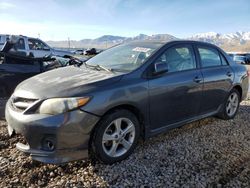 Toyota Corolla salvage cars for sale: 2012 Toyota Corolla Base