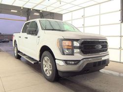 2023 Ford F150 Supercrew en venta en Finksburg, MD