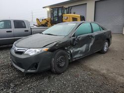 Salvage cars for sale at Eugene, OR auction: 2014 Toyota Camry L