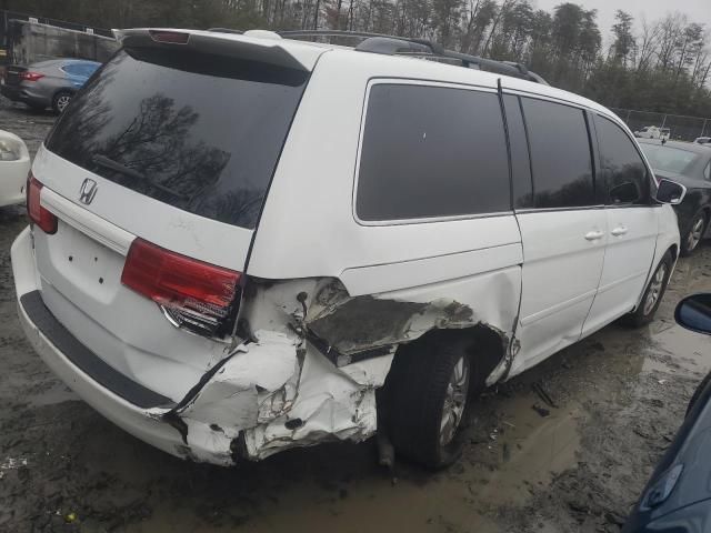 2008 Honda Odyssey EXL