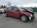 2004 Dodge Neon SXT