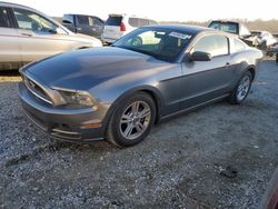 Salvage cars for sale at Spartanburg, SC auction: 2014 Ford Mustang