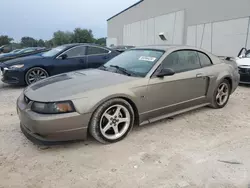 Salvage cars for sale at Apopka, FL auction: 2001 Ford Mustang GT