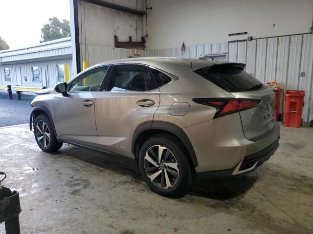 2021 Lexus NX 300H Base