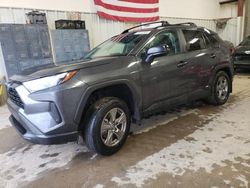 Salvage cars for sale at Conway, AR auction: 2024 Toyota Rav4 LE