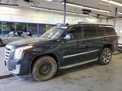 Salvage SUVs for sale at auction: 2015 Cadillac Escalade Luxury