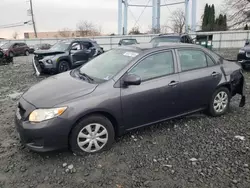 Toyota salvage cars for sale: 2009 Toyota Corolla Base