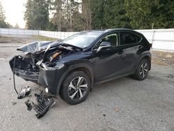 Salvage cars for sale from Copart Arlington, WA: 2021 Lexus NX 300 Base