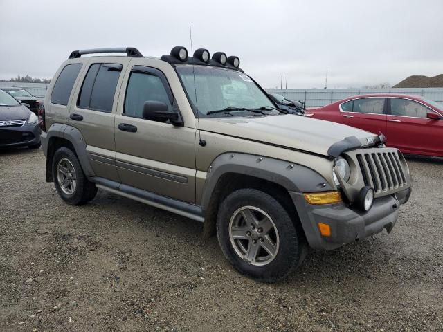 2005 Jeep Liberty Renegade