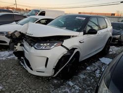 Salvage cars for sale at Windsor, NJ auction: 2023 Land Rover Discovery Sport S R-Dynamic