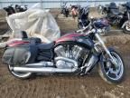 2016 Harley-Davidson Vrscf Vrod Muscle