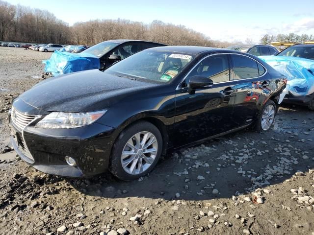 2014 Lexus ES 300H