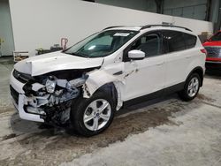 Salvage cars for sale from Copart Greenwood, NE: 2014 Ford Escape SE