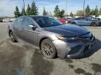 2024 Toyota Camry SE Night Shade