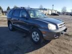 2006 Hyundai Santa FE GLS