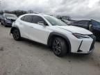 2019 Lexus UX 250H