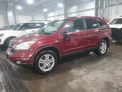 Salvage SUVs for sale at auction: 2010 Honda CR-V EXL