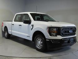 Ford salvage cars for sale: 2023 Ford F150 Supercrew