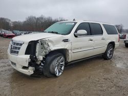 Salvage cars for sale at Conway, AR auction: 2012 Cadillac Escalade ESV Platinum