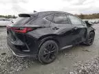 2022 Lexus NX 350