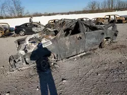 Salvage cars for sale at Lexington, KY auction: 2008 Lincoln Navigator