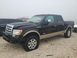 Salvage cars for sale at Taylor, TX auction: 2013 Ford F150 Supercrew