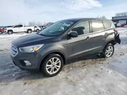 Salvage cars for sale at Wayland, MI auction: 2019 Ford Escape SE