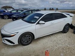 Salvage cars for sale at Taylor, TX auction: 2024 Hyundai Elantra SEL