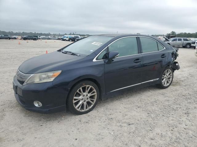 2010 Lexus HS 250H