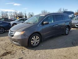 Vehiculos salvage en venta de Copart Baltimore, MD: 2016 Honda Odyssey EXL