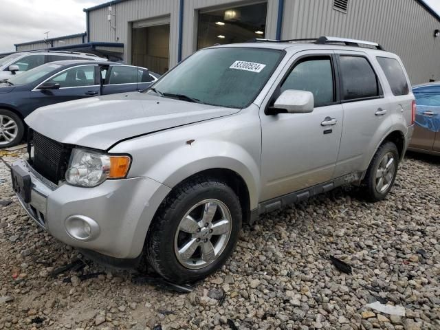 2011 Ford Escape Limited